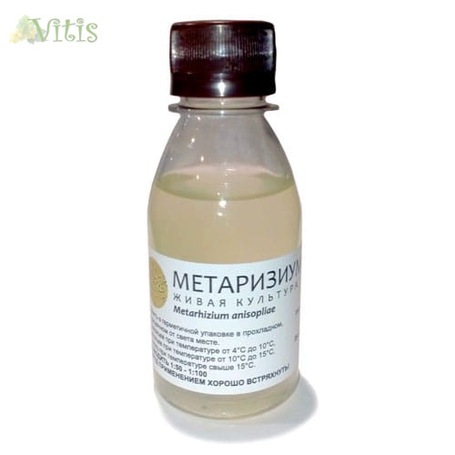 Метаризиум живая культура Metarhizium anisopliae в Vitis.kz